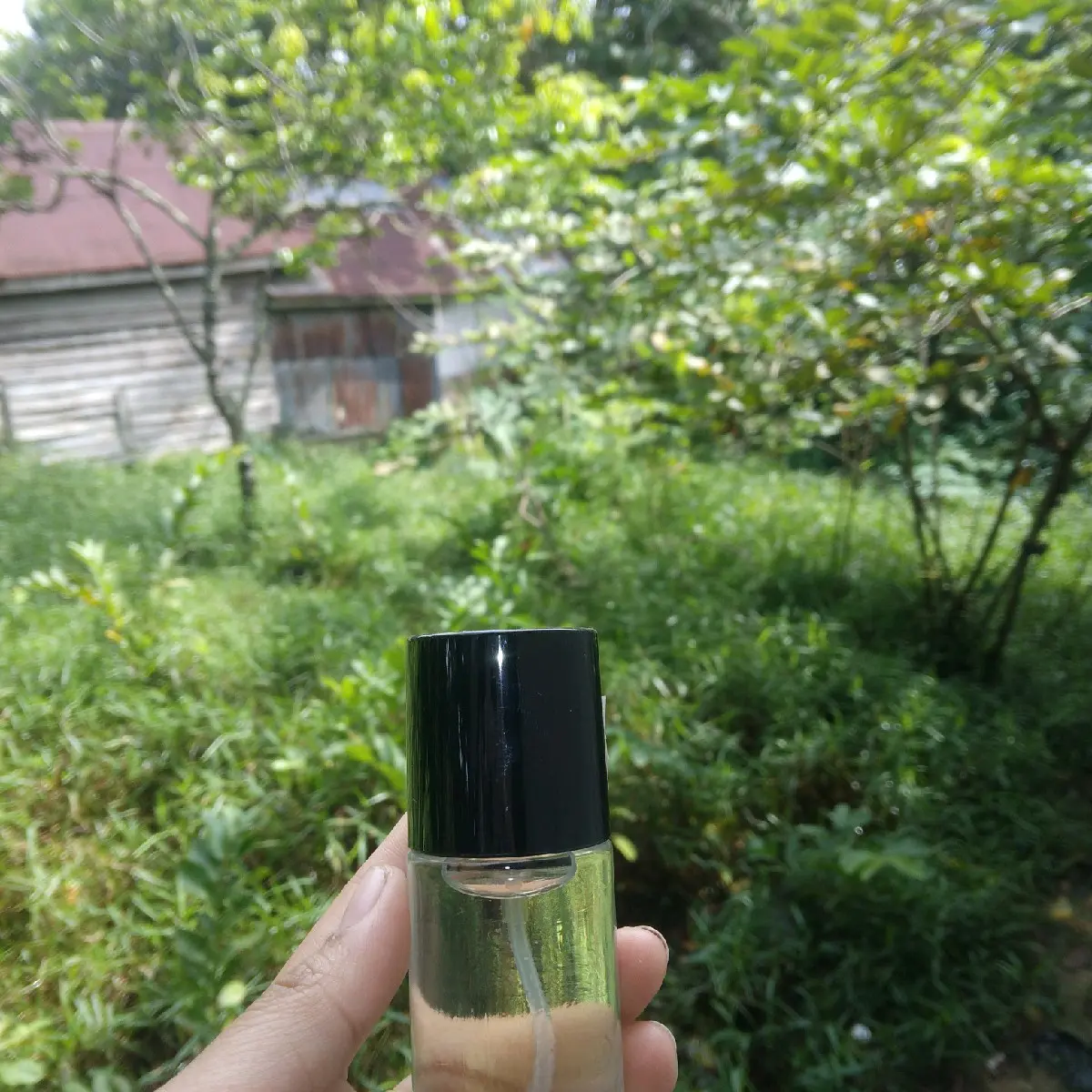 parfume bibit isi ulang full bibit tahan 24 jam