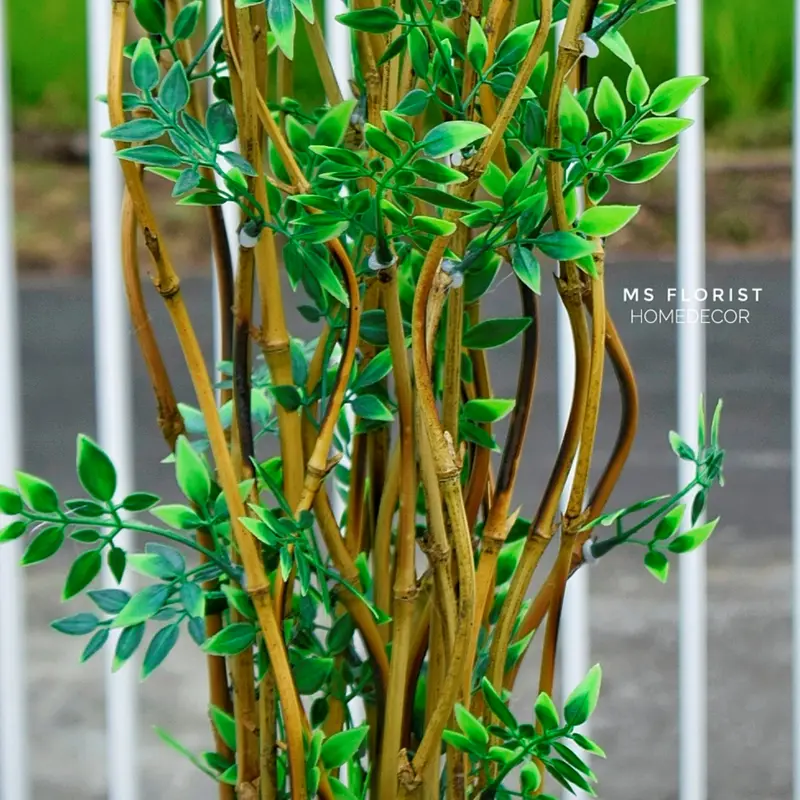 10 Btg Bambu Ulir Cendani Daun Cordelia 142 cm Tanpa Pot - Dekorasi Shabby Warna Natural 2