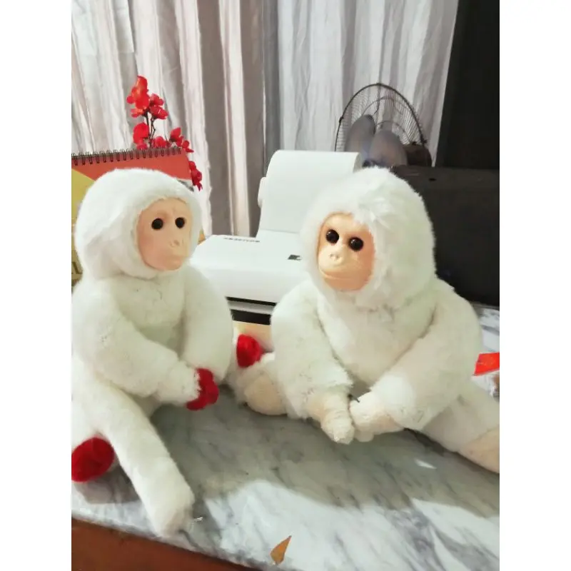 boneka monyet besar harga satuan  25cm sudh harga Grosir konveksi 1