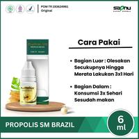 Gambar Propolis Sm Atasi Alopecia Areata, Oles Penumbuh Rambut Rontok, Infeksi Jamur Kepala dari SAPNU HERBAL INDO Kota Administrasi Jakarta Barat 4 Tokopedia