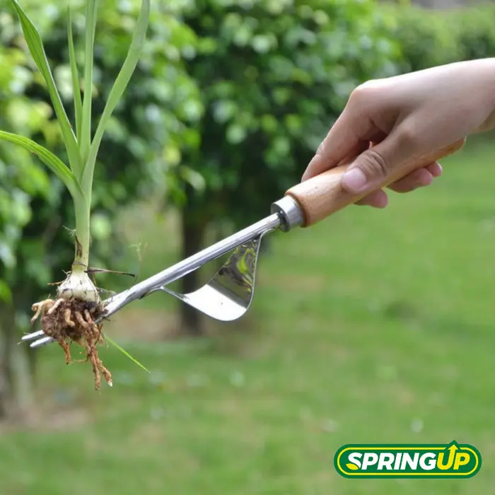 Terbatas Alat Pencabut Rumput Liar / Tanaman Pengganggu by SPRING UP 0