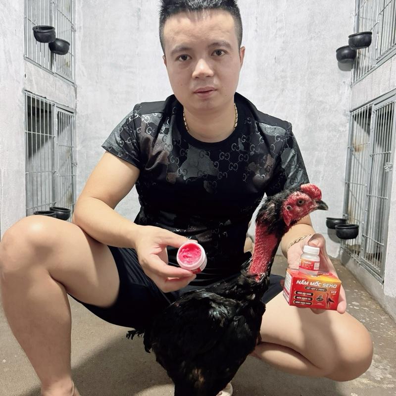 Nấm Mốc SEKO Phiên Bản Mới bôi ngoài da kết hợp viên uống dùng cho gà chọi