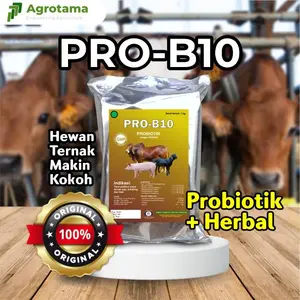 PRO-B10 Mineral Probiotik Premix Probio 1 Kg Penggemuk Sapi Kambing Domba dan Babi dengan Probiotik Herbal & Mineral untuk Ternak Ruminansia