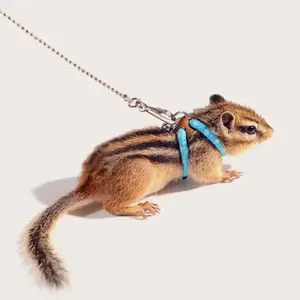 1pc-Small Pet Harness And Leash Set - Secure, Comfortable Vest For Hamsters, Mice & Squirrels