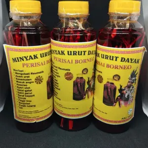 minyak urut dayak mengobati berbagai macam penyakit