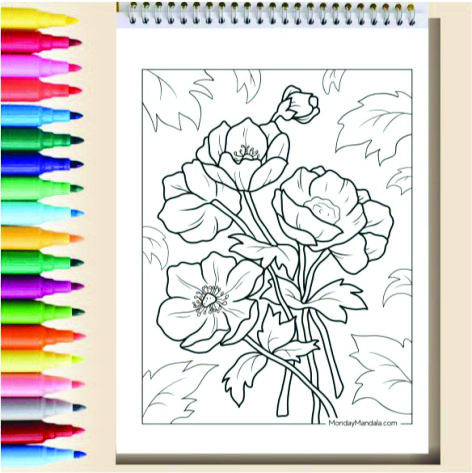 Flowers Coloring Book Cozy Book Adult Buku Mewarnai Remaja Dewasa Spiral Kertas Tebal Tema Bunga 3