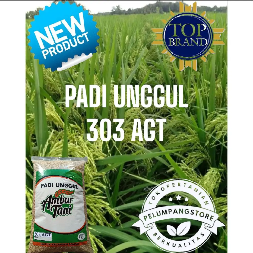 BENIH PADI UNGGUL 303 AGT PREMIUM KEMASAN 5KG