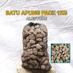 Batu apung kemasan 1kg media filter kolam koi dan Aquarium