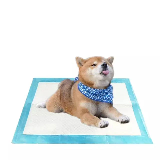 UNDERPAD 60x60cm BIG SIZE - TRAINING PAD ANJING - PERLAK KUCING - UNDERPAD - ALAS PIPIS KUCING 3