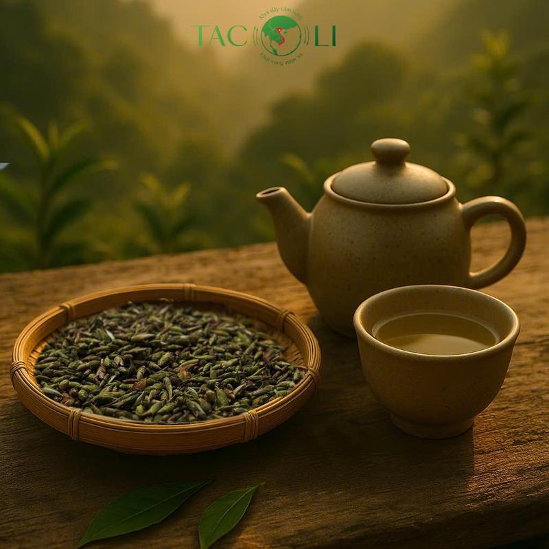 Bạch trà đuôi rồng cổ thụ Tacoli (Phẩm trà trải nghiệm)