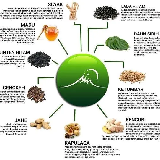 SinTSI S.I.N Krakatau HERBAL