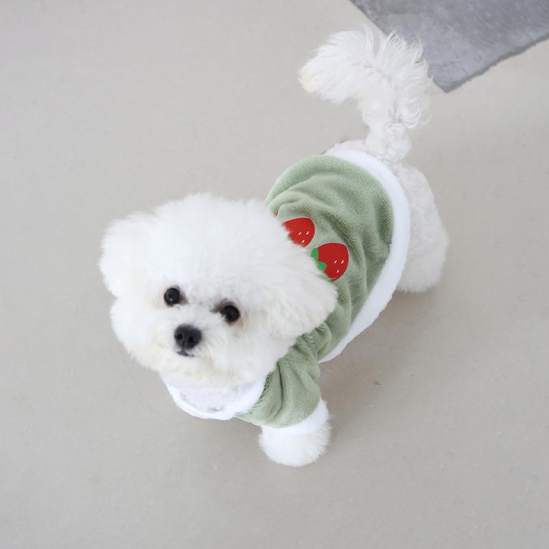 Product Introduction of Autumn Winter Original Plush Pet Carrot Cartoon Cute Clothes Jade Rabbit Velvet Cold-Proof Warm Super Cute Plush Clothes 20