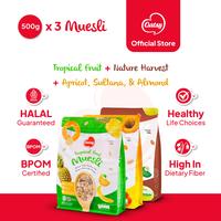Gambar Oatsy Muesli Triple Mix 500gr dari Oatsy Oatmeal & Muesli Kota Administrasi Jakarta Barat 1 Tokopedia