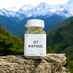 DT KAPSUL ISI 60 BUTIR ORIGINAL DAN AMPUH
