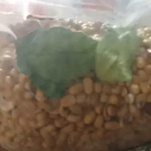 Kedelai Goreng Daun Jeruk x Baput Super 1Kg - Camilan Enak & Sehat Kaya Protein untuk Kenyang dan Kesehatan Tubuh Kacang Food