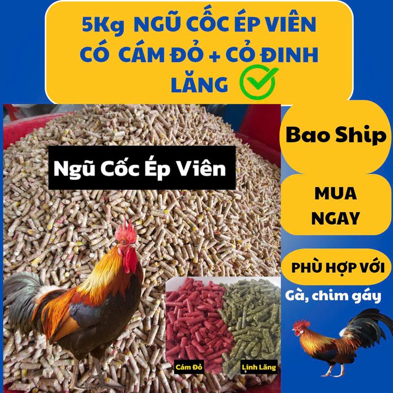  Túi 5kg - Ngũ Cốc Ép Viên Có Gan Bò  Cám Đỏ + Cỏ Linh Lăng   Cho Gà Chế Độ Chim Gáy - Cung Cấp Dinh Dưỡng Chất Xơ Và Đạm Protein   Không Tặng Kèm Móc Khóa   