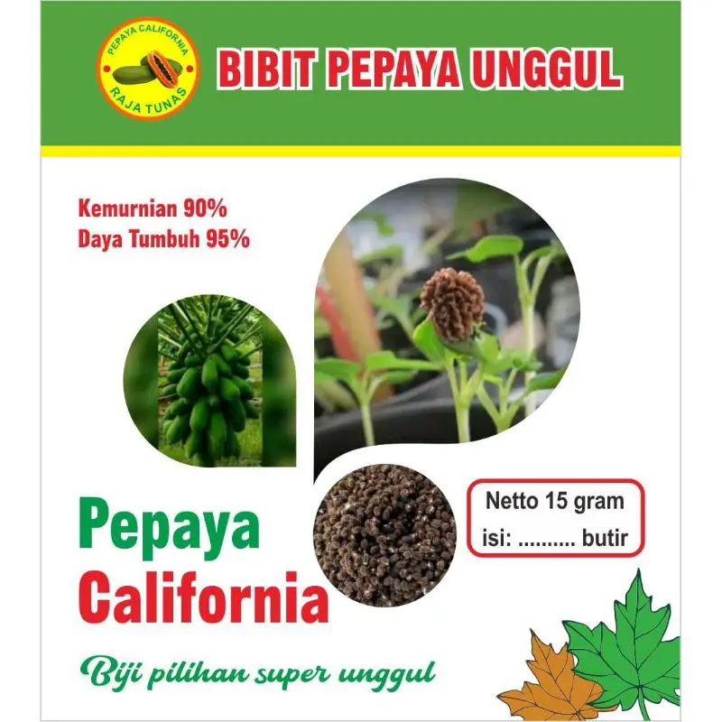 benih pepaya California madu 15 gram isi 750 biji