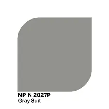 N 2027P GRAY SUIT