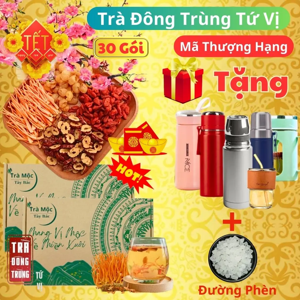 [Thượng Hạng Tặng Quà Tết] Hộp 30 gói TẶNG BÌNH GIỮ NHIỆT - Trà đông trùng tứ vị thảo mộc Tây Bắc (nấm đông trùng hạ thảo, táo đỏ, kỷ tử, long nhãn) hàng chọn có mix thêm đường phèn, trà thảo dược tây bắc