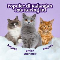 Gambar Wahl Pets Cat 4 in 1 Shampoo 350ml - Sampo & Conditioner Kucing, Sampo Perawatan Kucing dari Wahl Pets Indonesia Kota Administrasi Jakarta Utara 5 Tokopedia