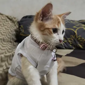 Baju kucing anjing cowok cewek lucu murah - Bukipet Venture Tank Series