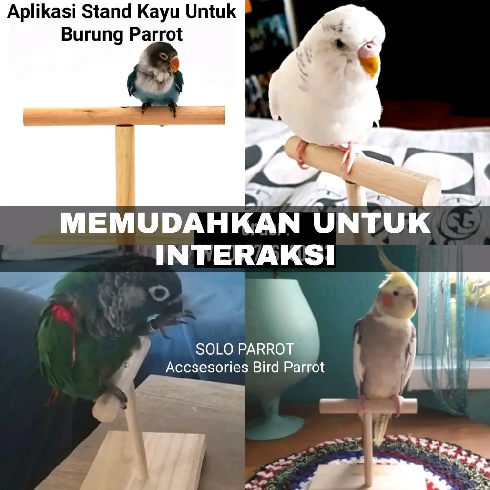 Stand Tangkringan Kayu untuk Burung Parrot