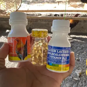 Satu paket vitamin mingguan untuk ayam