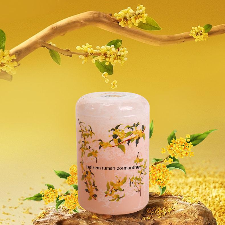 pewangi ruangan tahan lama toilet kamar mandi aromatherapy diffuser  Premium wewangian ringan Parfum Padat pengharum mobil parfum ruangan kapur 2