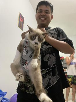 Product Review of Dog Carrier Dog Bag Pet Carrier Front Pet Carrier Puppy Carrier Cute Bag Carrier Outdoor Backpack from d**3 0