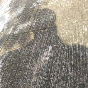 NUTRIMIX KENARI Pakan Burung Kenari 200 Gram