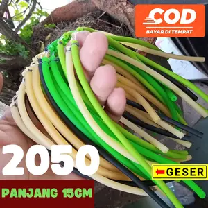 karet elastis 2050 siap pakai Outdoor warna RANDOM