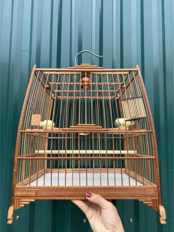  Lồng chim chào mào tự ráp chất liệu trúc khung lồng mào form thái đấu vuông đấu 
