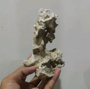 Batu karang untuk bonsai mame/aquarium/aquascape