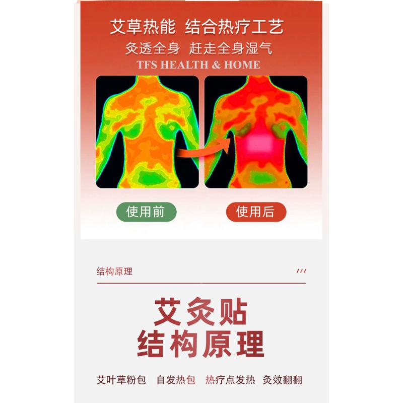 Product Introduction of [TFS Health & Home] MUGWORT WORMWOOD AICAO Pain Relief Heat Pad Paste-on Warm 28