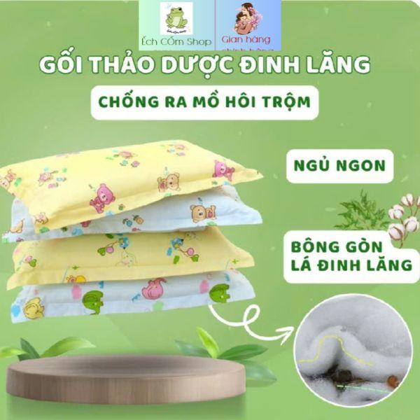   TẶNG QUÀ XỊN  Combo 2 Chiếc Gối Thảo Dược Đinh Lăng Cao Cấp Cho Bé Ngủ Ngon - Thấm hút mồ hôi đầu cho bé gối  chobé lá gối  cao  su  non  cho  bé 
