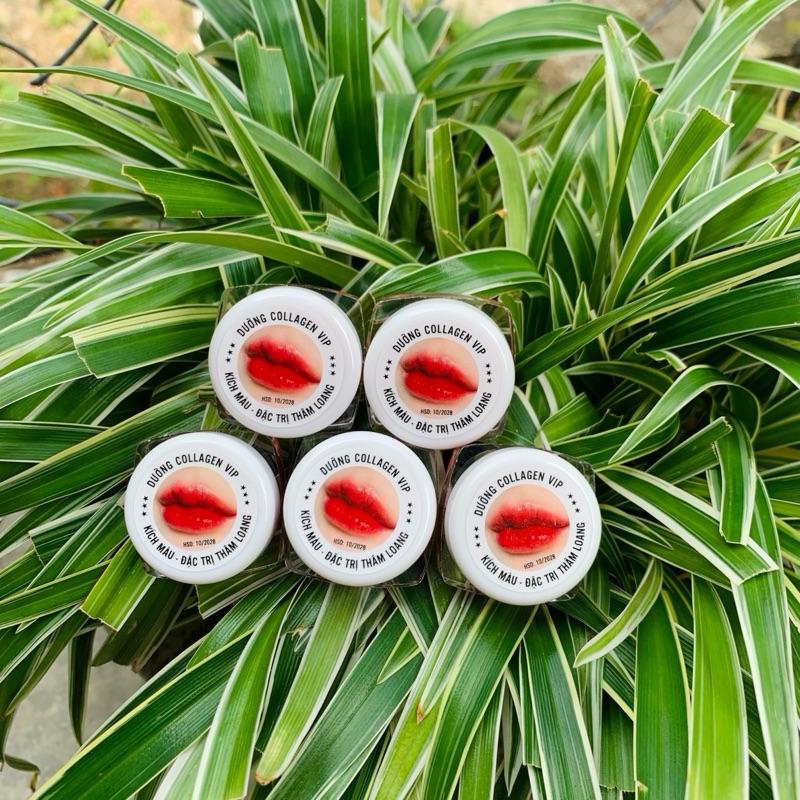 Combo 5 lọ Dưỡng Môi Collagen Vip dưỡng hồng môi dưỡng ẩm môi lên màu phun xăm