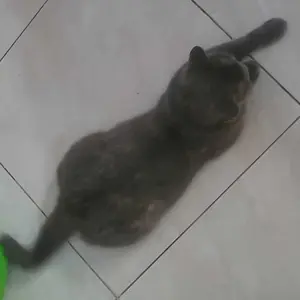 Bola Basket Ukuran Kecil Hingga Besar Perlengkapan Olahraga