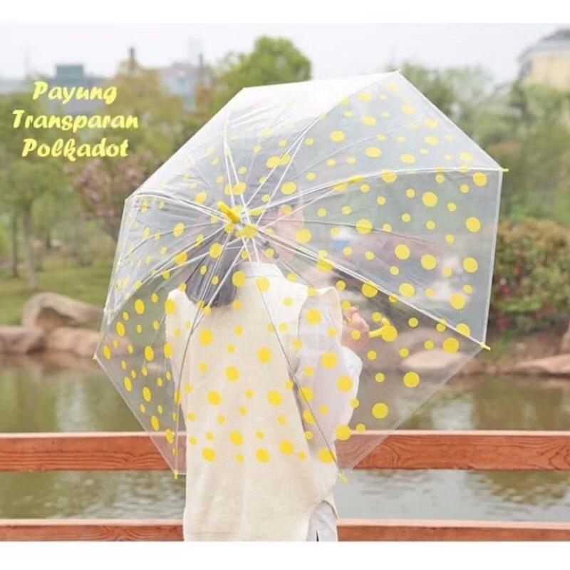 Product Introduction of Payung Polkadot Transparan Kokoh dan Kuat Termurah tombol otomatis 8-rusuk 59