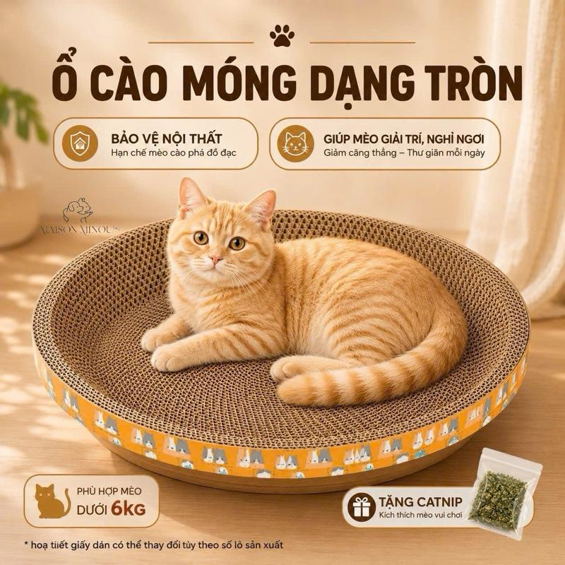 Bàn cào móng, ổ cào móng cho mèo dạng tròn