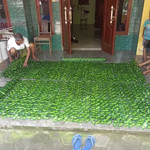 Plastik Dinding Rumput Buatan/1M*3M/Daun Rambat Sintetis/Daun Pagar Roll Artificial Hias/Tanaman Hias Sintetis/Daun Hias/Daun palsu/Rumput Hias/Tanaman Hiasan Daun/Daun Rambat Dinding