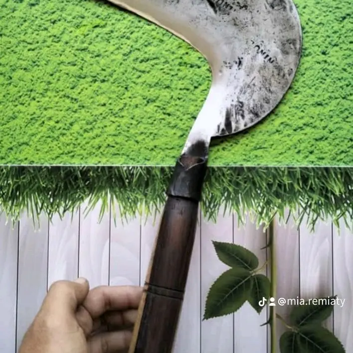 Arit Sabit Cap BONIN ketuk 3