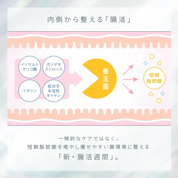 エトア カロキシーカット-ETOA CALOXY CUT- 5ml 30包 バランス