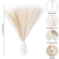 Gambar [12 pcs] Pampas Dried Grass / Rumput Pampas / Preserved Pampas 56cm Bunga Hiasan Rotan - White, 12pcs dari Dekorasi Tanaman Buatan Kab. Tangerang 5 Tokopedia