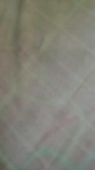 Product Review of Pashmina Kaos Rayon Premium//Pashmina Turki//Pashmina Kaos// Premium Shawl from N** k**i 0