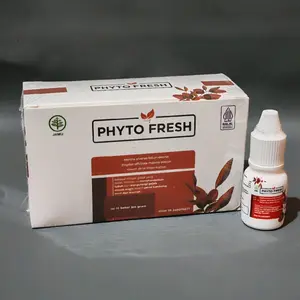 [ BPOM ] PHYTO FRESH 1Box Isi 10Pcs Minyak Angin Aromatheraphy Phytofresh Roll On 4mL