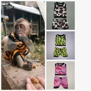 Setelan baju untuk monyet/monpai (size L)