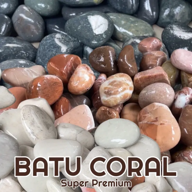 Batu Coral Halus Premium (1Kg) Hiasan Taman / Aquarium. Bersih Siap Pakai Kualitas Terbaik 0