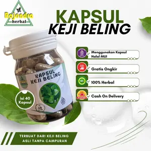 Kapsul Keji Beling Rajendra Hebal Asli Membantu Mengatasi Masalah Ginjal