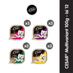 Cesar Makanan Anjing Premium Basah Multi Varian 100 gr- Isi 12 wet  food