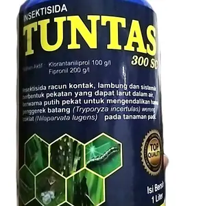 TUNTAS 300 SC INSEKTISIDA BAHAN AKTIF FIPRONIL & KLORANTANILIPROL BERWARNA PUTIH PEKAT . COCOK UNTUK HAMA JENIS PENGERAK BATANG . ULAT GRAYAK DAN SERANGGA PADA TANAMAN